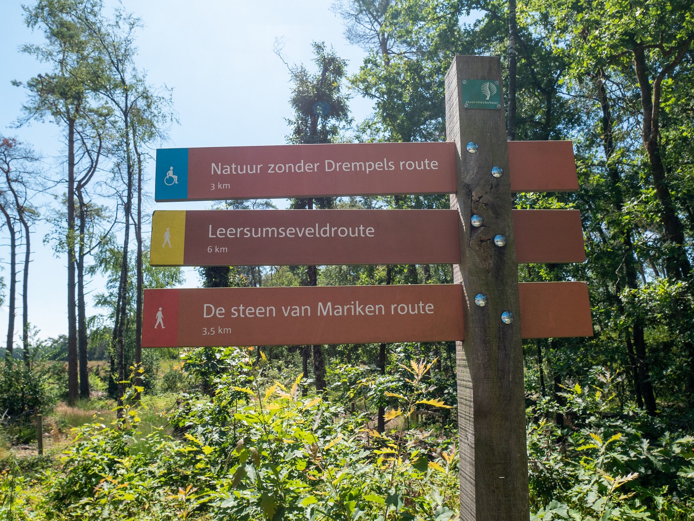 Leersumse_Veld_24-7-2022_02