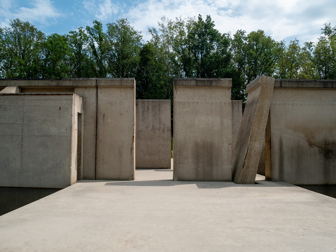 Waterloopbos_29-7-2022_03