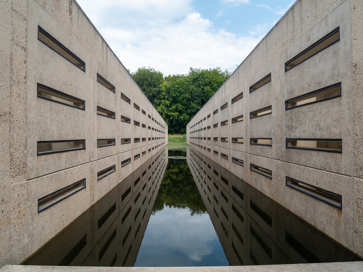 Waterloopbos_29-7-2022_04