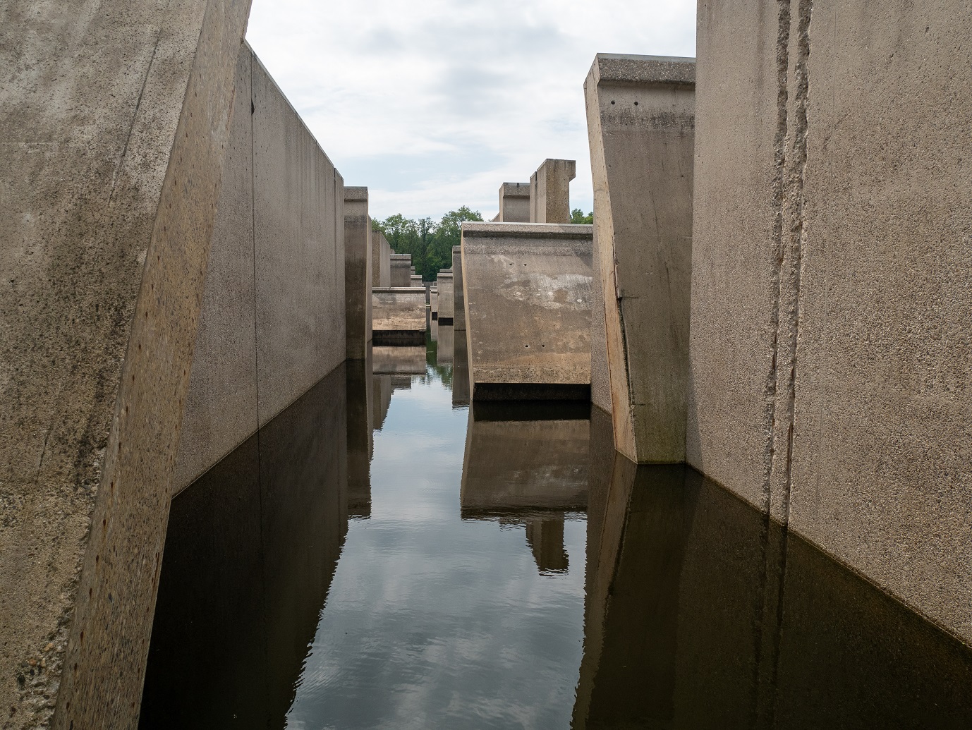 Waterloopbos_29-7-2022_05