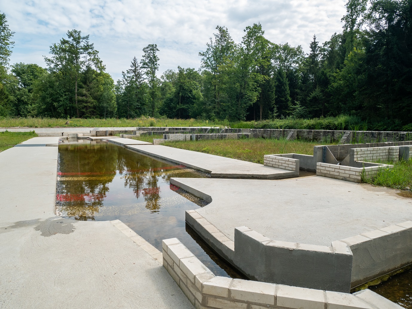 Waterloopbos_29-7-2022_09
