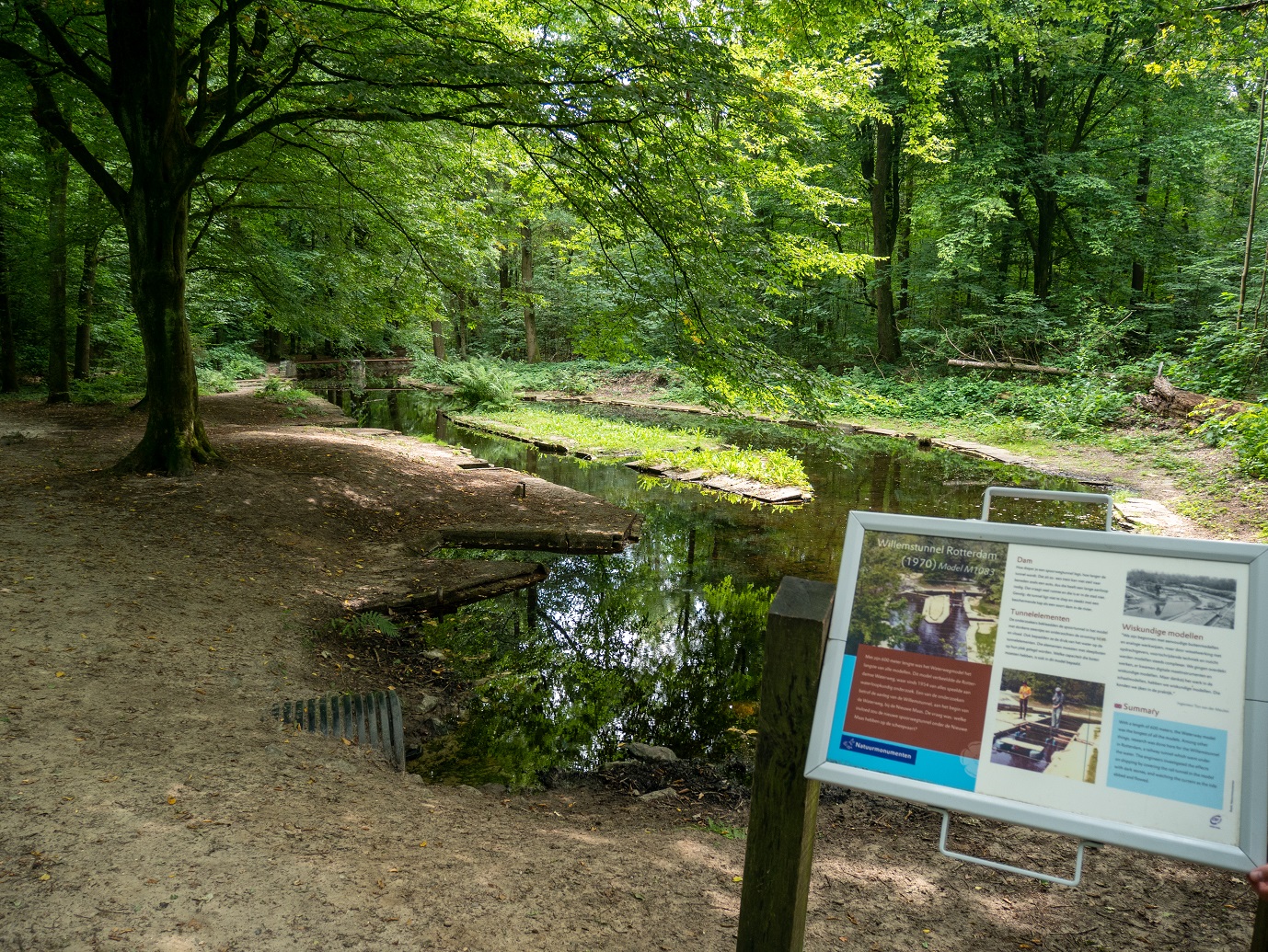 Waterloopbos_29-7-2022_13