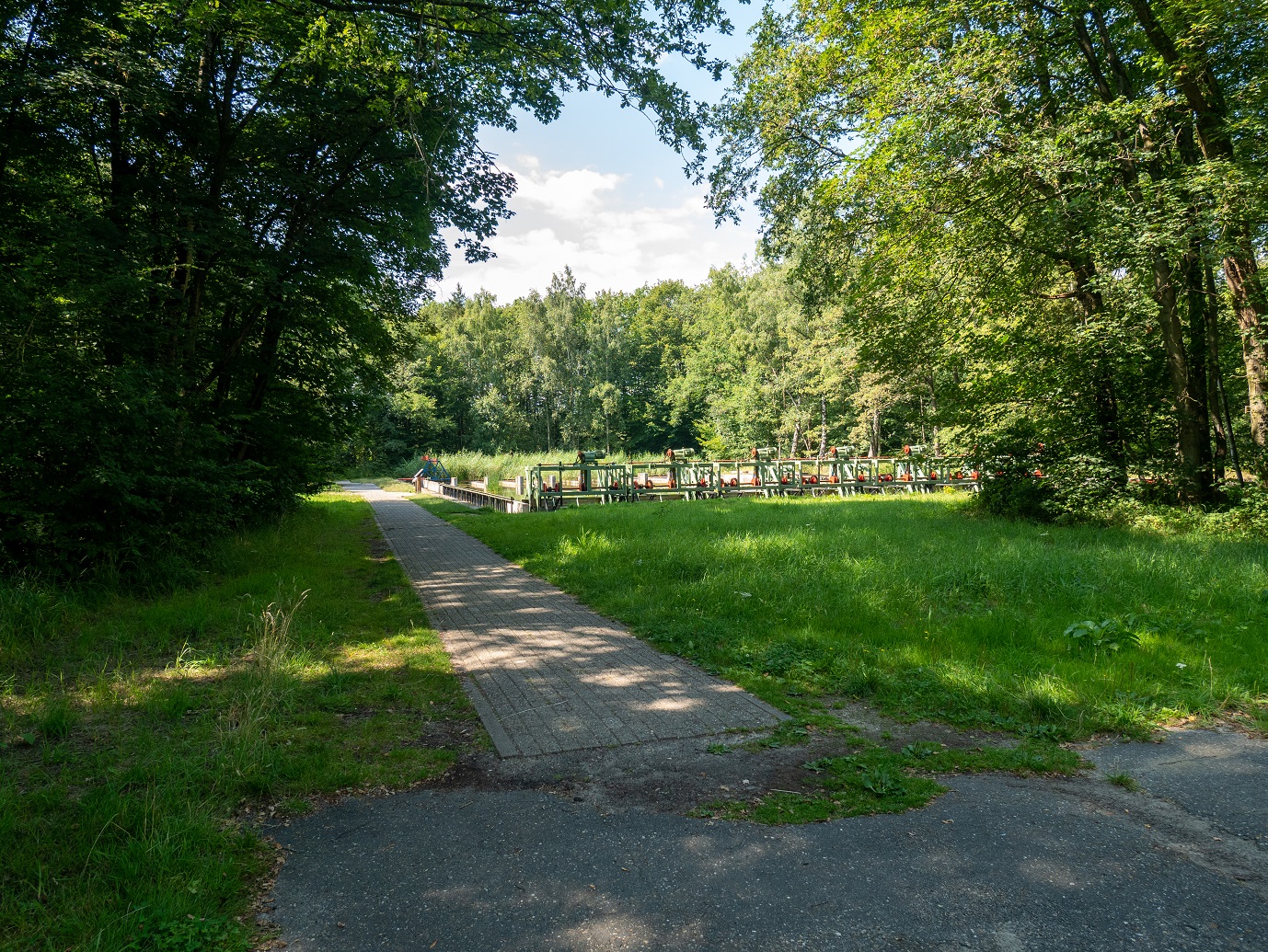 Waterloopbos_29-7-2022_16