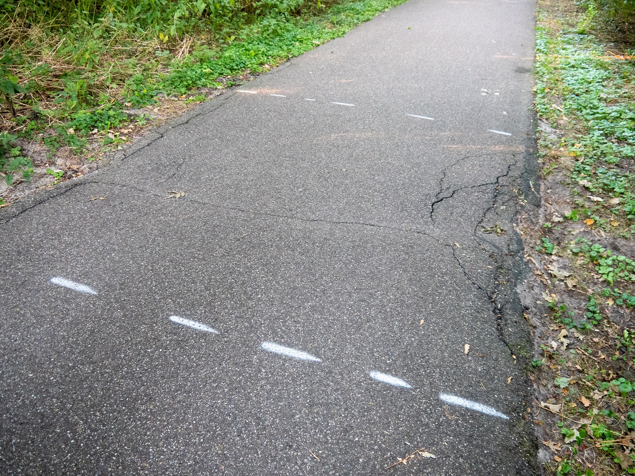 Maarsseveen Rondje Grote Plas 24-08-2022-06