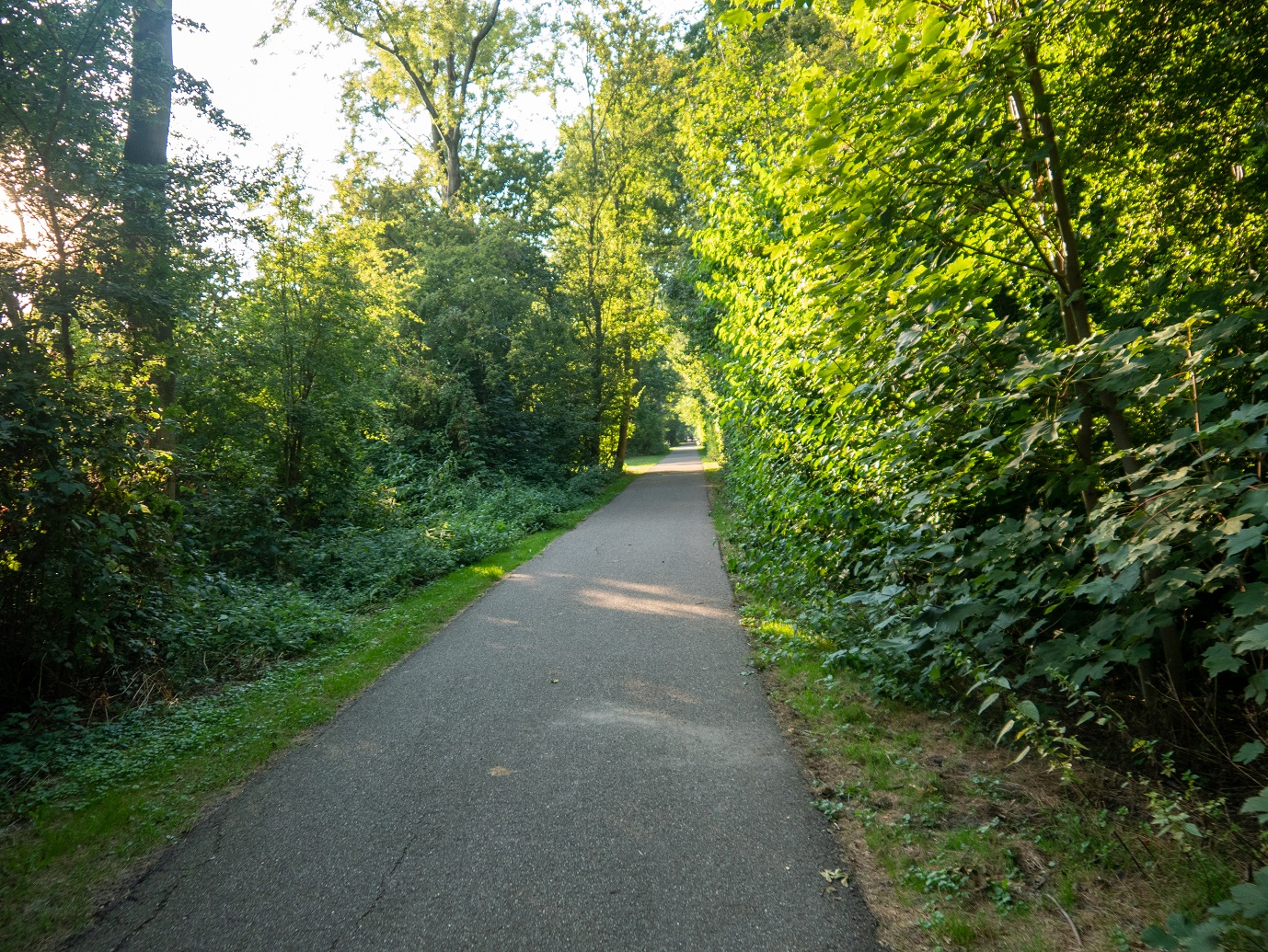 Maarsseveen Rondje Grote Plas 24-08-2022-07