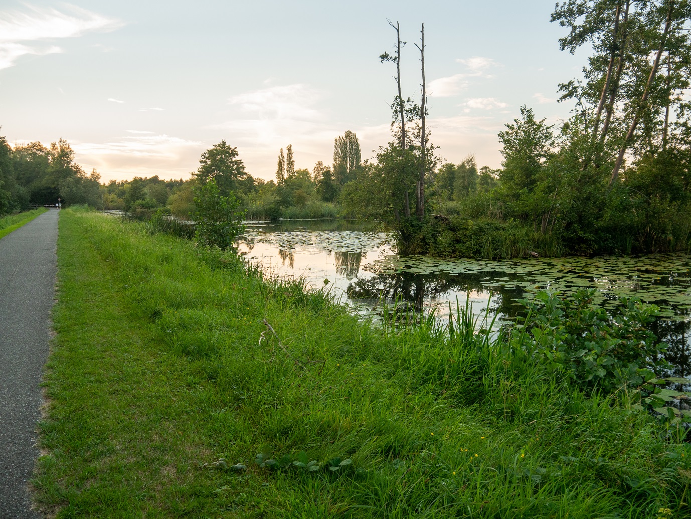 Maarsseveen Rondje Grote Plas 24-08-2022-10