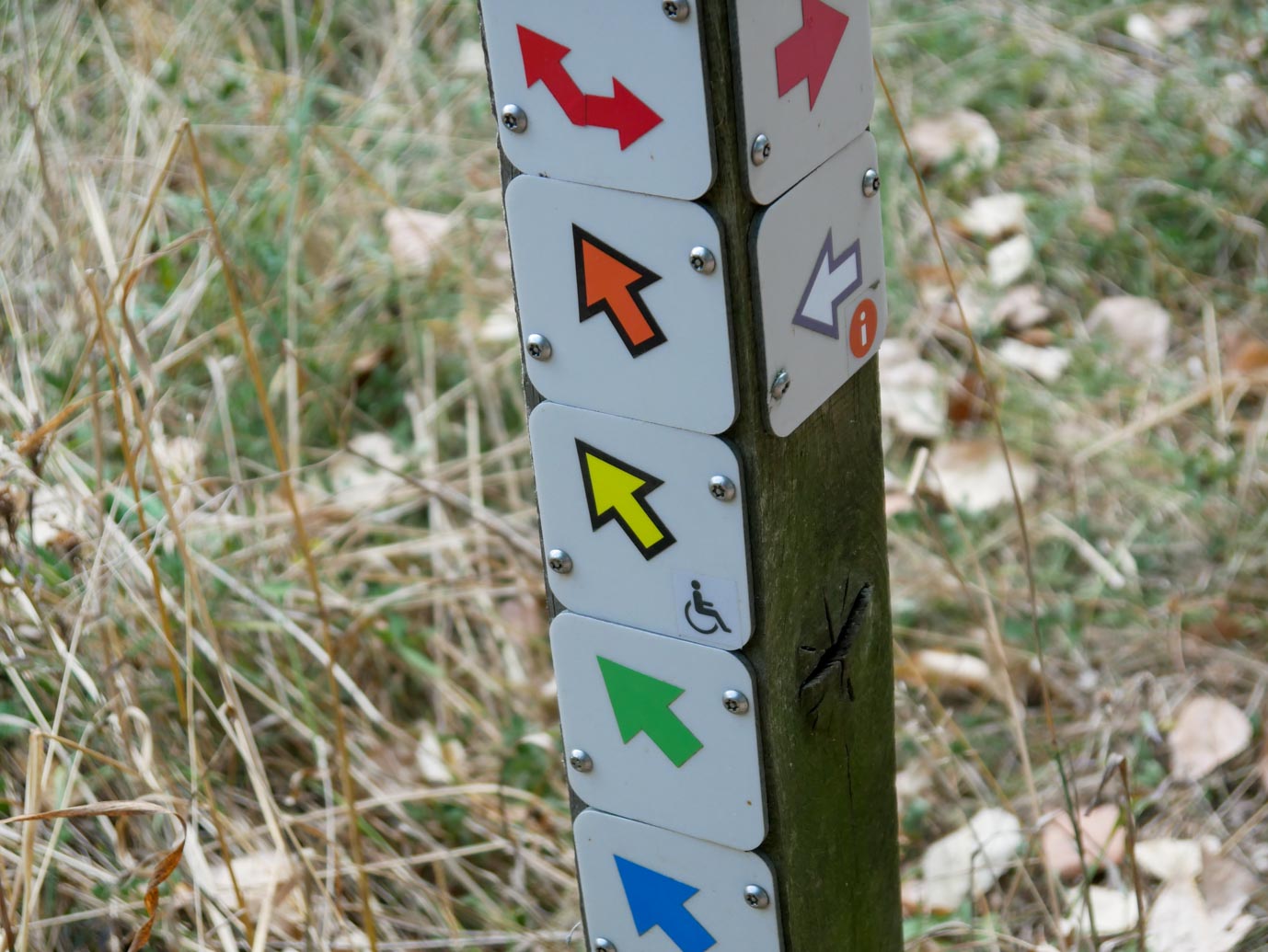 De_Lutte_Arboretum_Poort_Bulten_05-09-2022-05