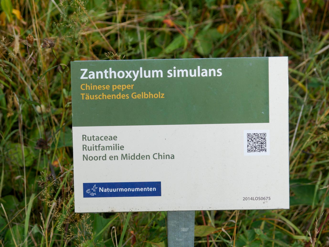 De_Lutte_Arboretum_Poort_Bulten_05-09-2022-14