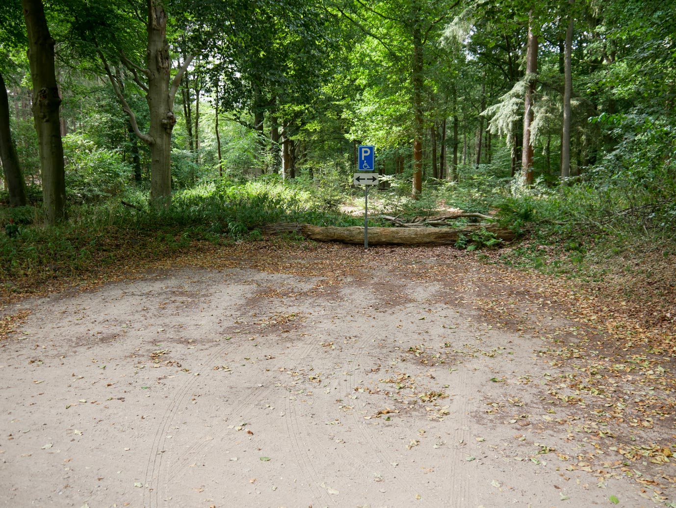 Ermelo_Oud_Groevenbeek_27-08-2022-01
