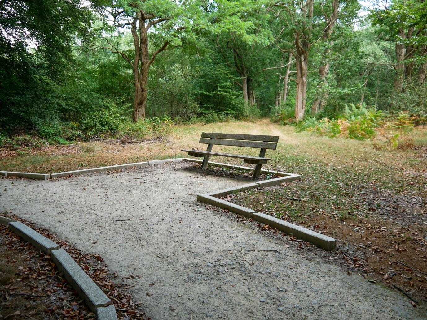 Ermelo_Oud_Groevenbeek_27-08-2022-05