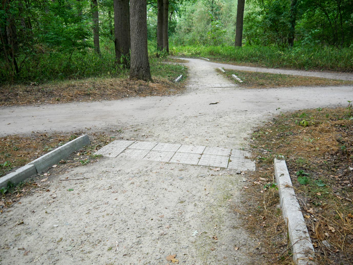 Ermelo_Oud_Groevenbeek_27-08-2022-06