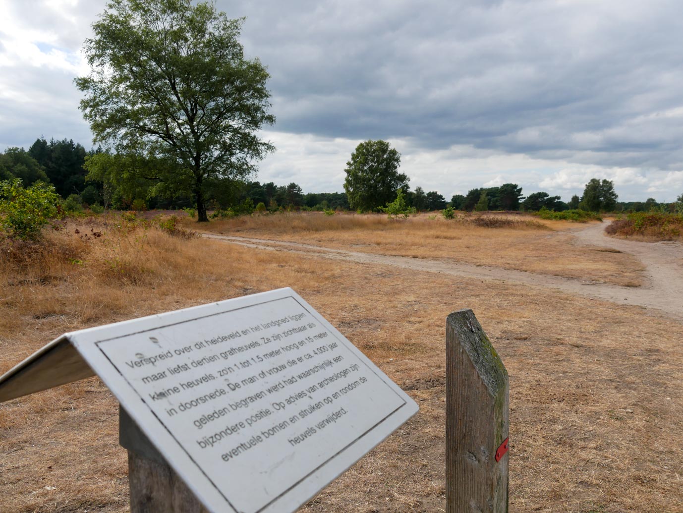 Ermelo_Oud_Groevenbeek_27-08-2022-09
