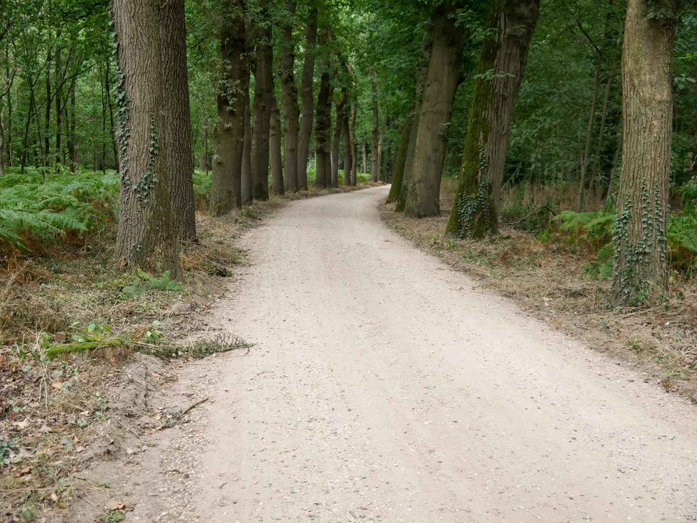 Ermelo_Oud_Groevenbeek_27-08-2022-11