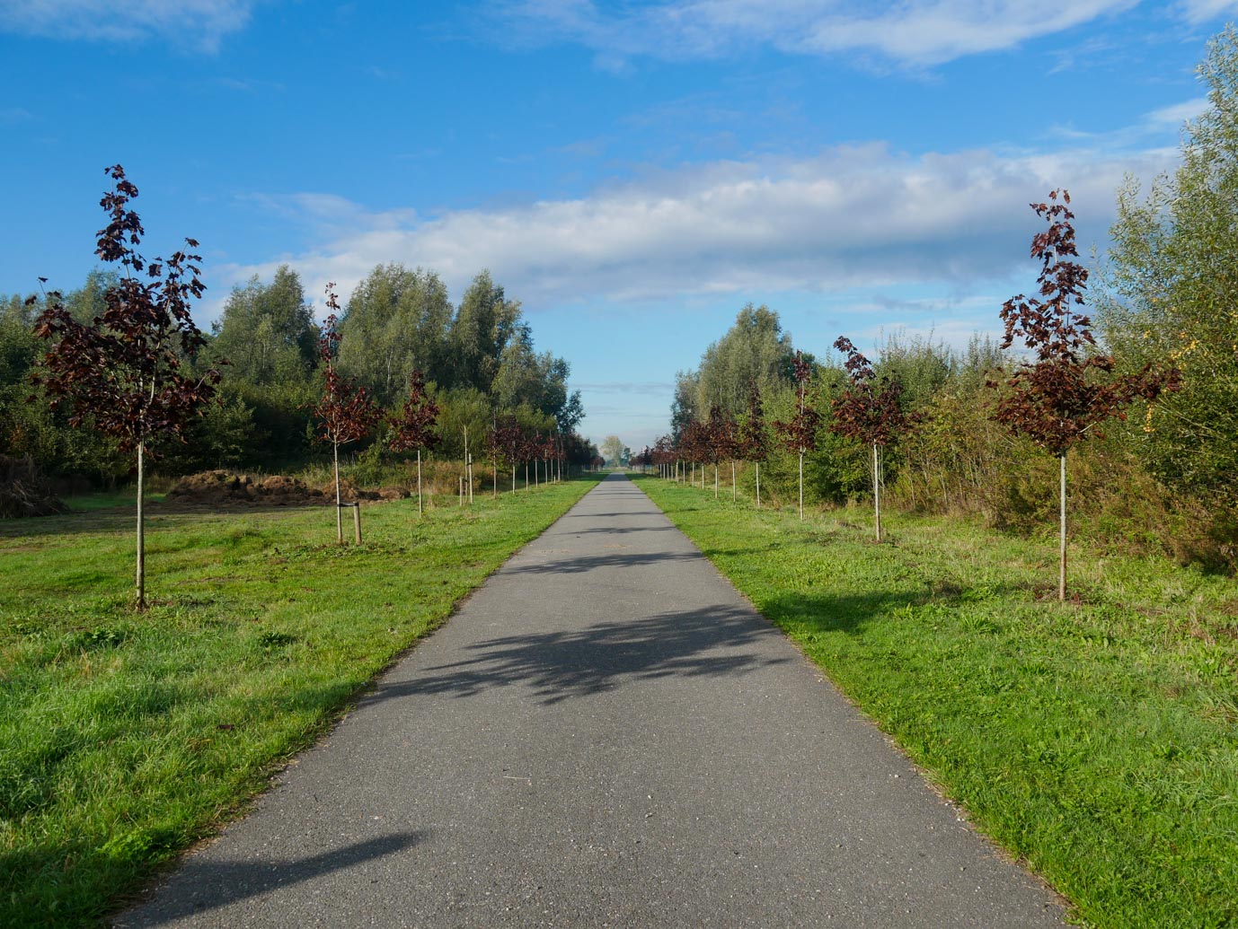 Haarzuilens_Parkbos_De_Haar_30-09-2022-03