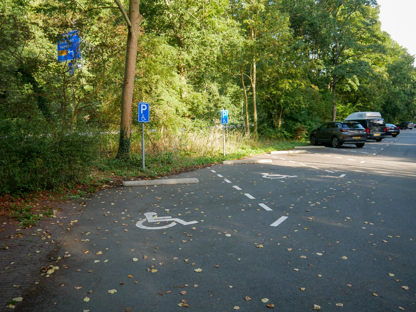 Velsen-Zuid_Beeckestijn_11-09-2022-01