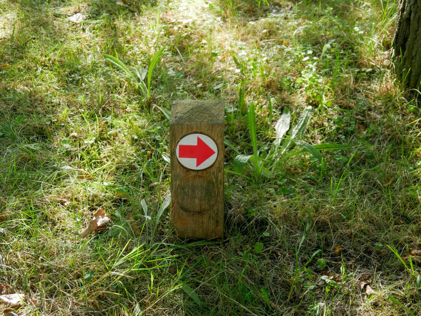 Velsen-Zuid_Beeckestijn_11-09-2022-02