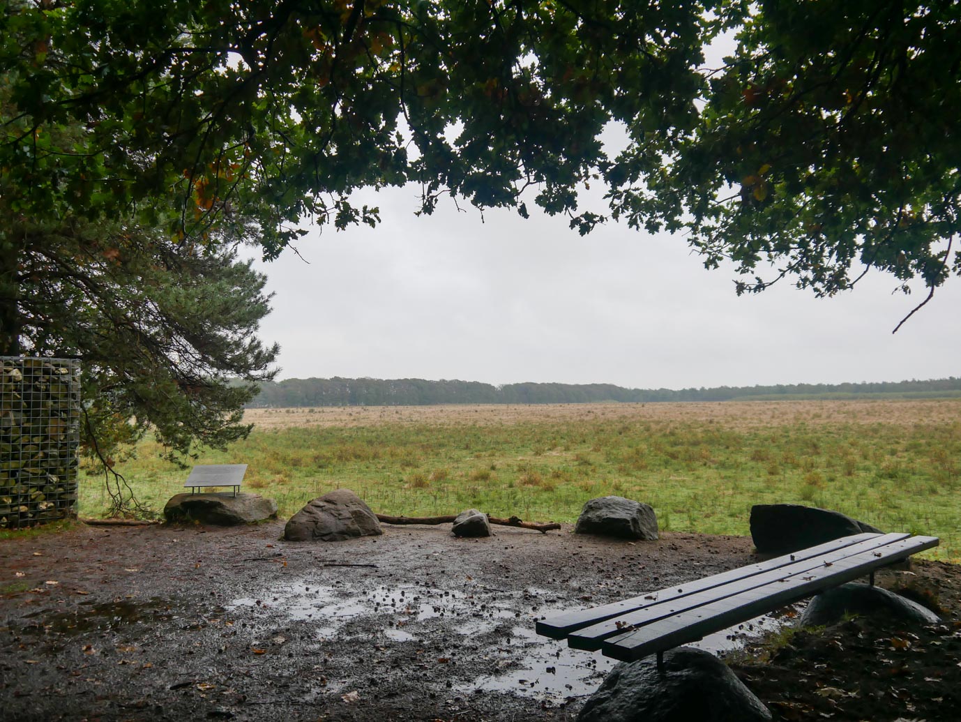Otterlo_langs_de_akkers_van_Oud_Reemst_14-10-2022-08