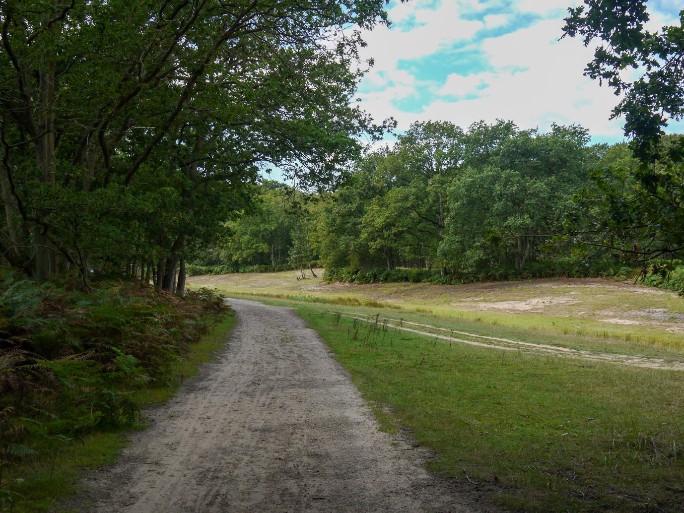 Vogelenzang_Amsterdamse_Waterleidingduinen_11-09-2022-09