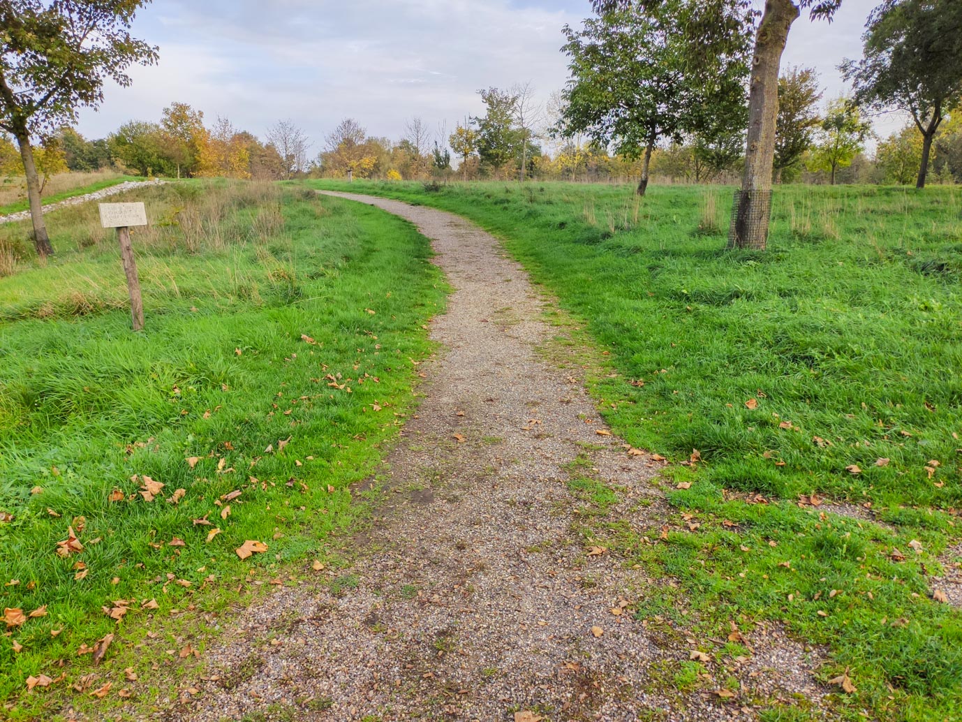 Stevensweert_Park_Meerse_Kamp_29-10-2022-08