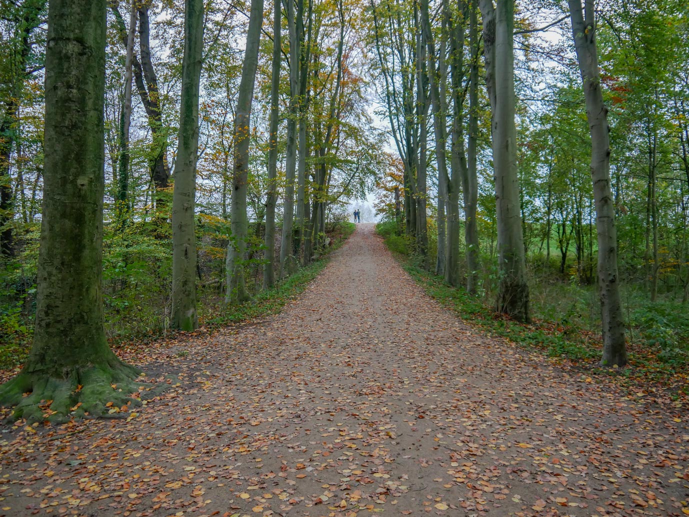 Waardenburg_Landgoed_Waardenburg_en_Neerijnen_25-11-2022-13