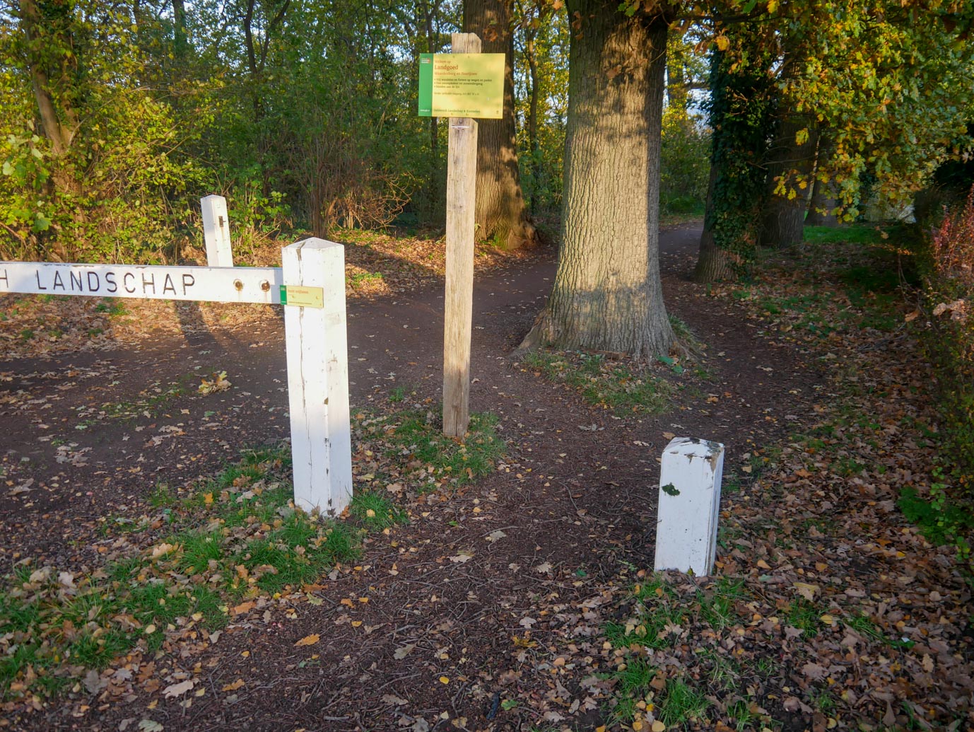 Waardenburg_Landgoed_Waardenburg_en_Neerijnen_25-11-2022-19
