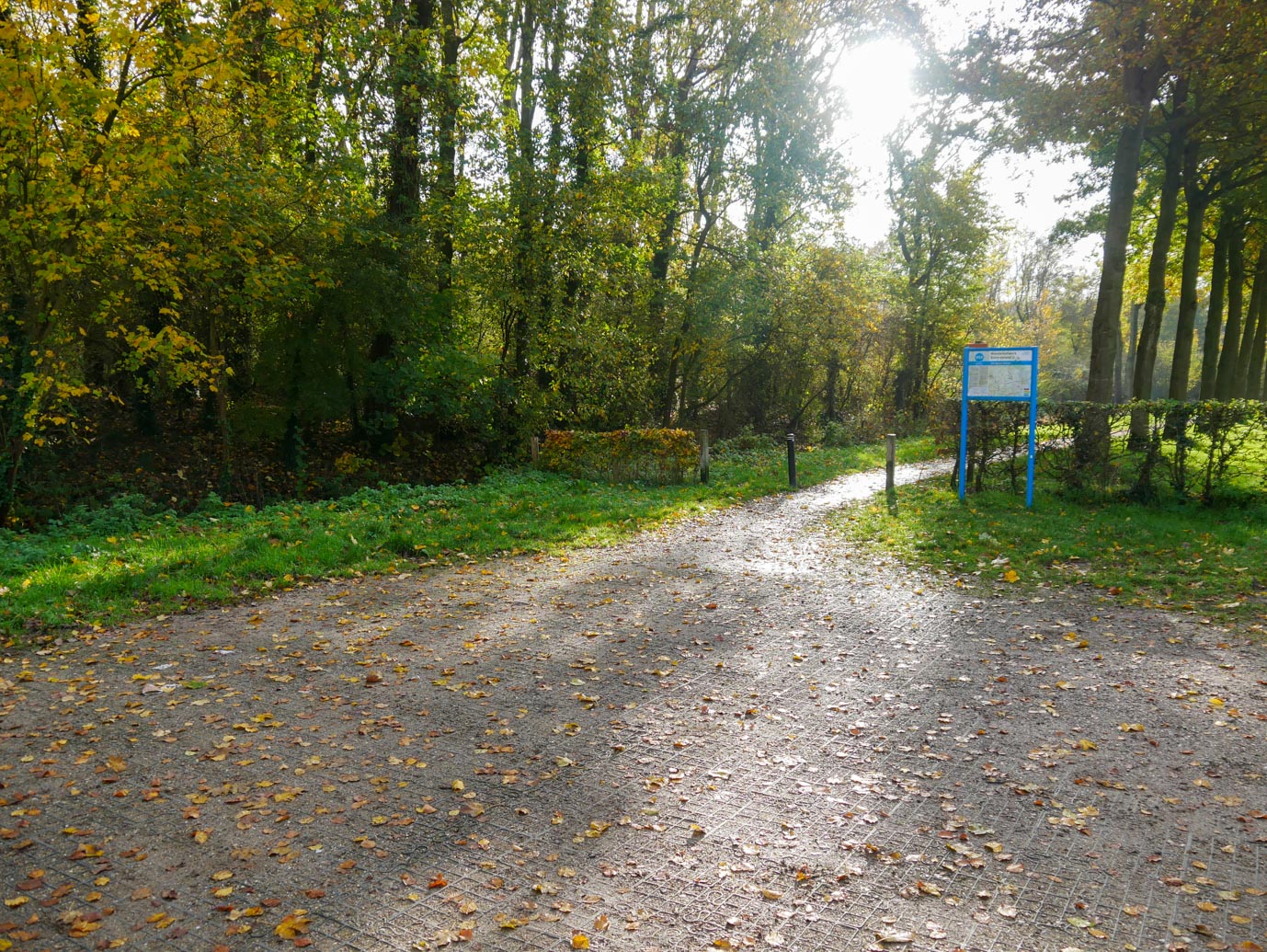 Zoelen_Landgoed_Soelen_18-11-2022-01