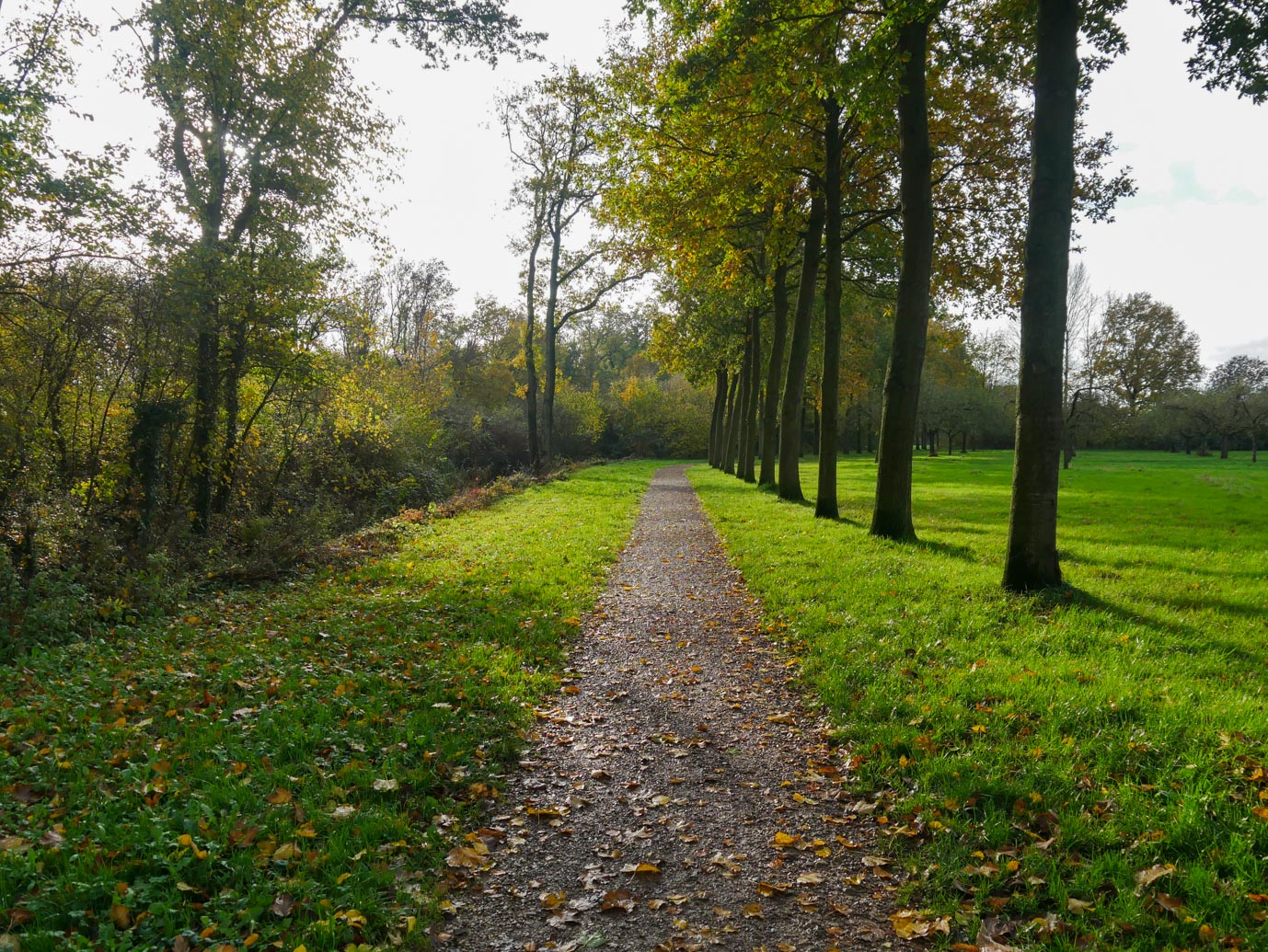 Zoelen_Landgoed_Soelen_18-11-2022-02