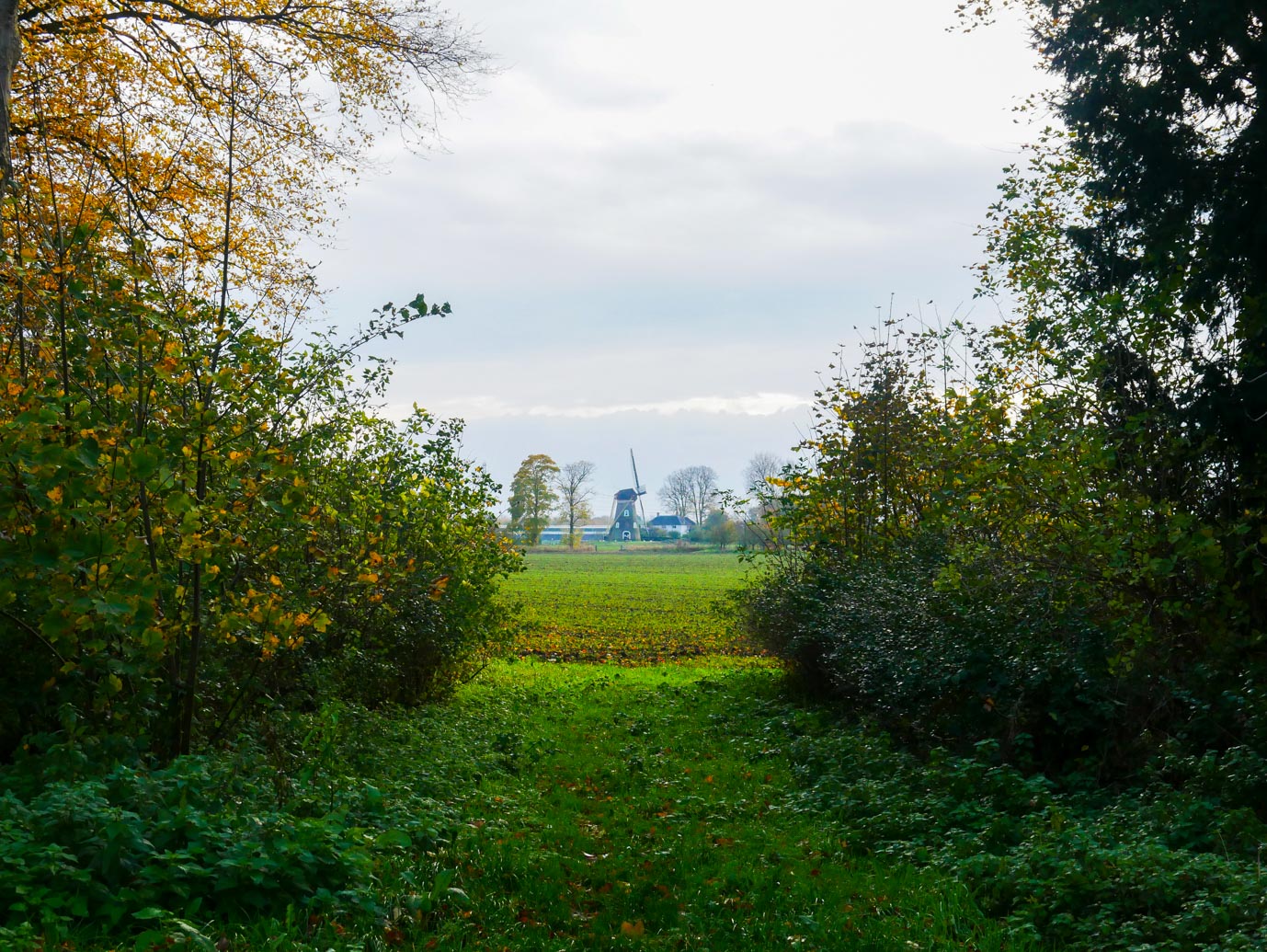 Zoelen_Landgoed_Soelen_18-11-2022-10