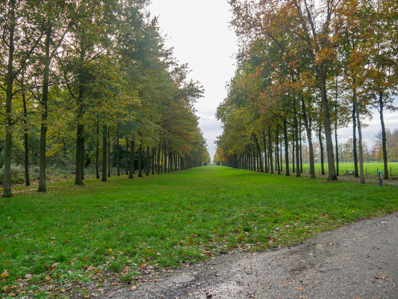 Zoelen_Landgoed_Soelen_18-11-2022-12