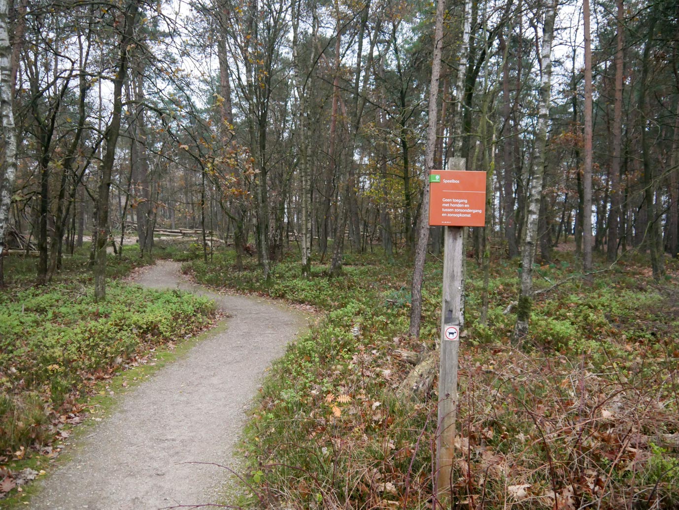 Uchelen_Mindervalidenroute_t_Leesten_04-12-2022-13