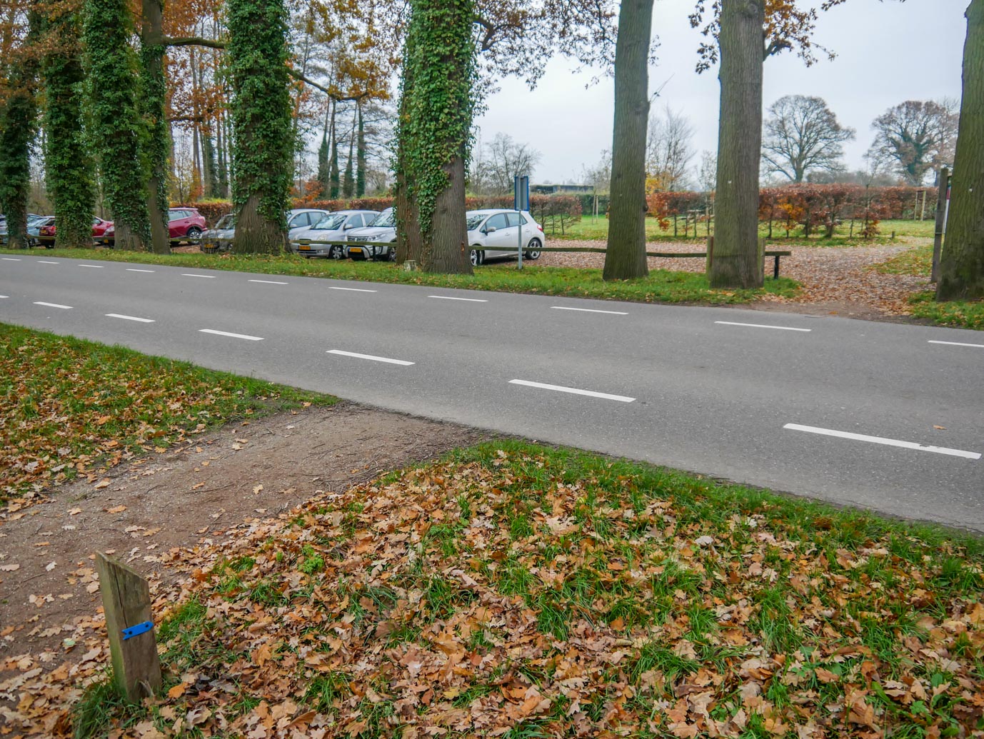 Brummen_Landgoed_Voorstonden_04-12-2022-03