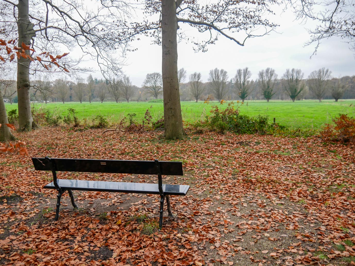 Brummen_Landgoed_Voorstonden_04-12-2022-15