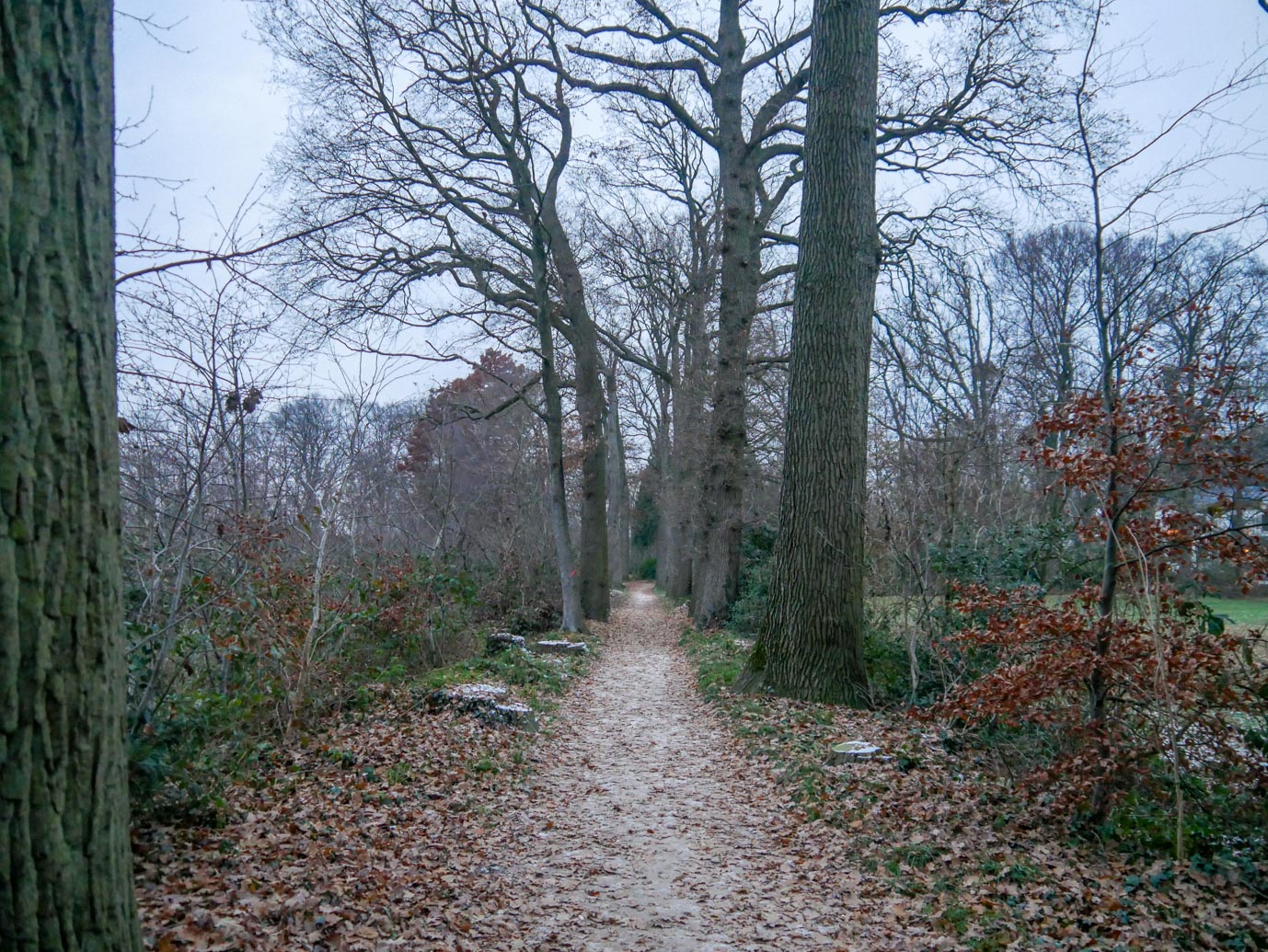 Eerbeek_Route_Huis_te_Eerbeek_18-12-2022-06