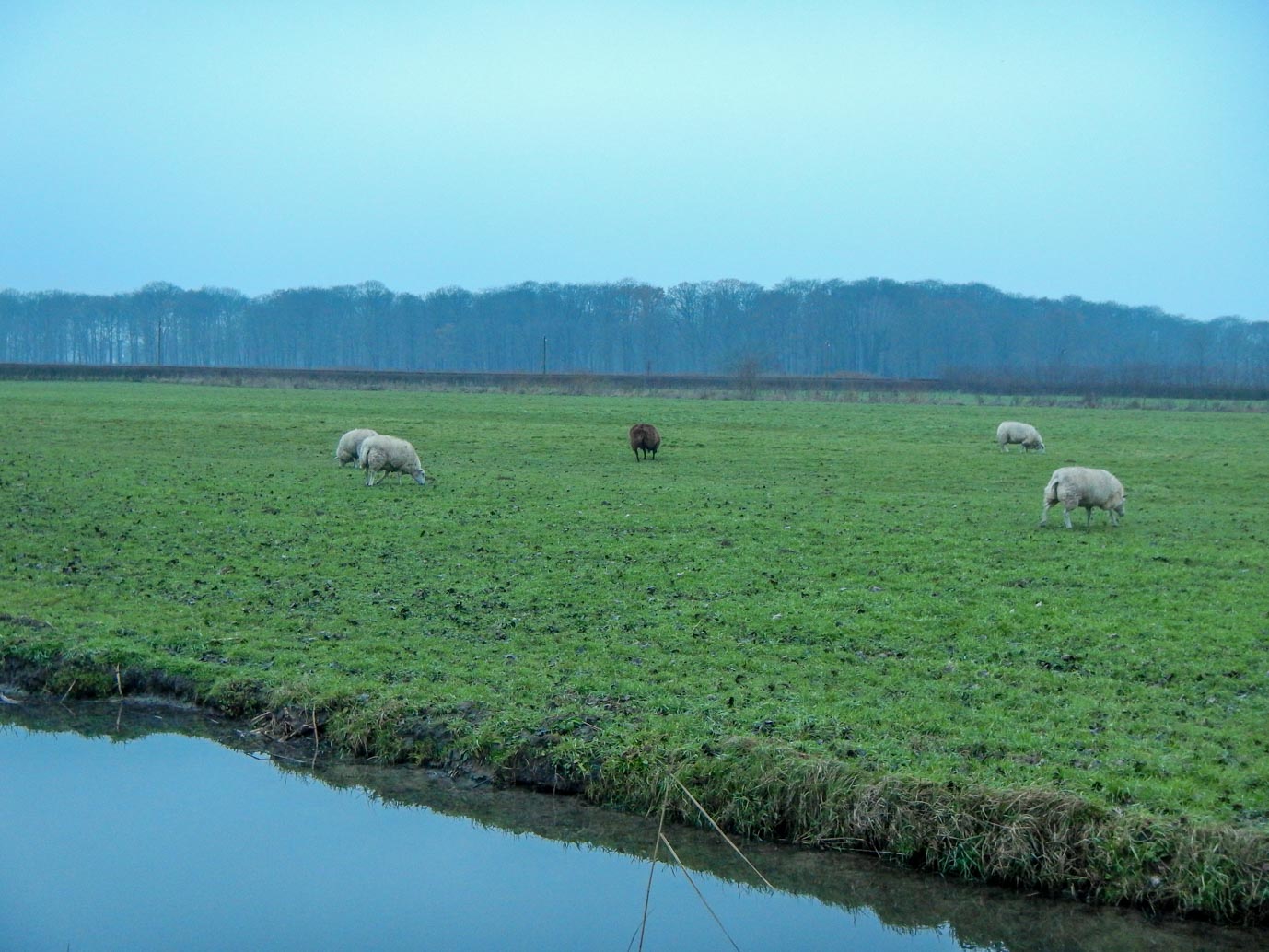 Haarzuilens_Historisch_Haarzuilens_22-12-2022-07