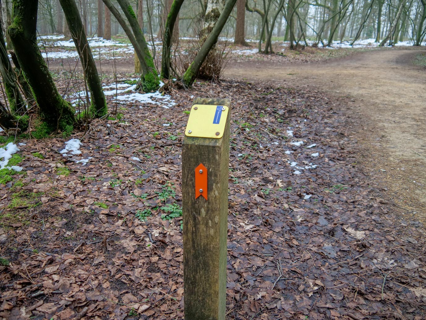 Boxtel_Van_Tienhoven_Route_25-01-2023-05