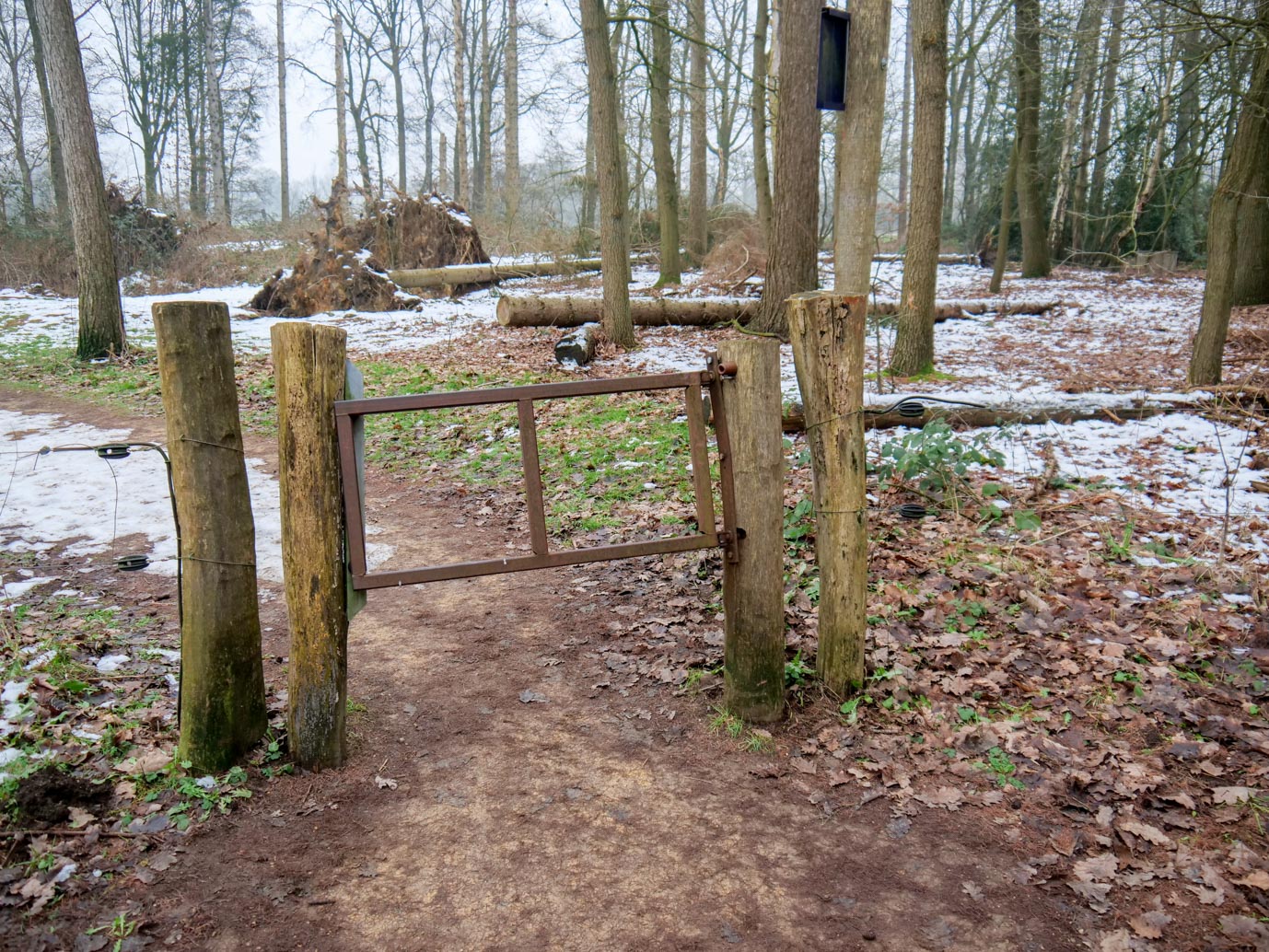 Boxtel_Van_Tienhoven_Route_25-01-2023-07