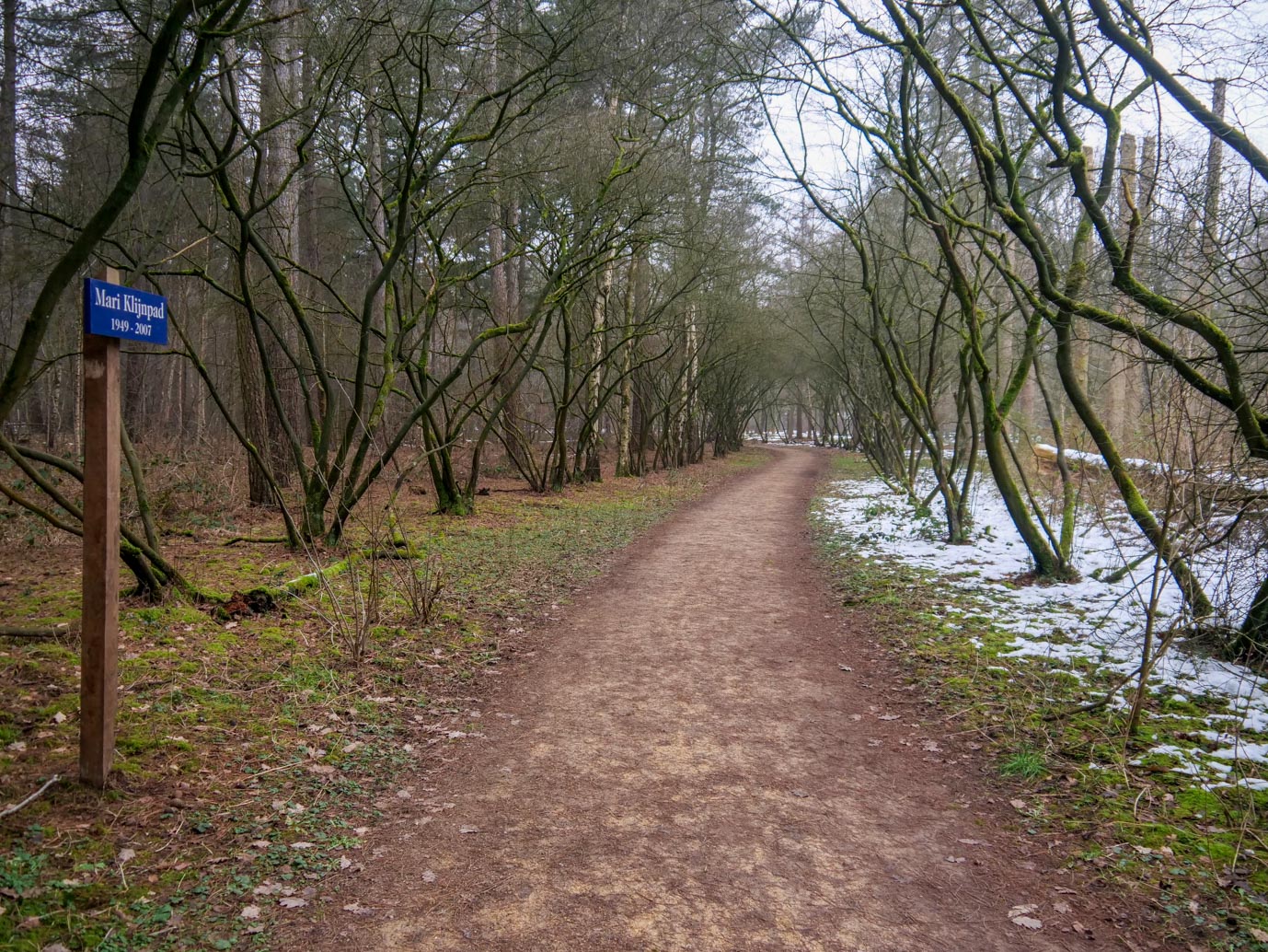 Boxtel_Van_Tienhoven_Route_25-01-2023-09