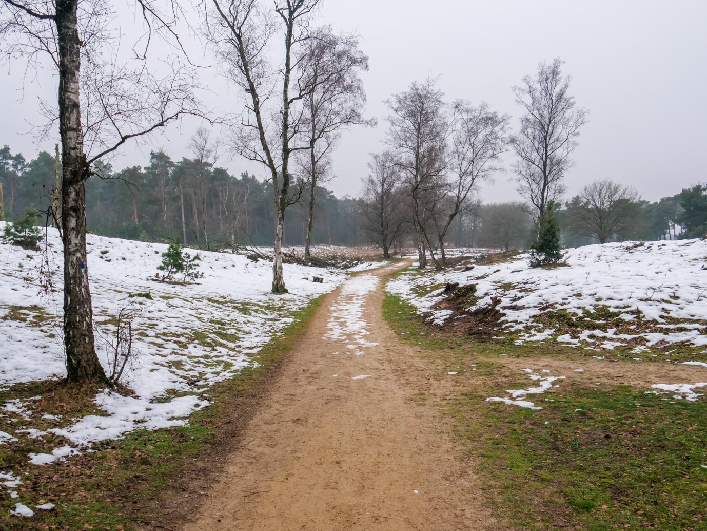 Boxtel_Van_Tienhoven_Route_25-01-2023-10