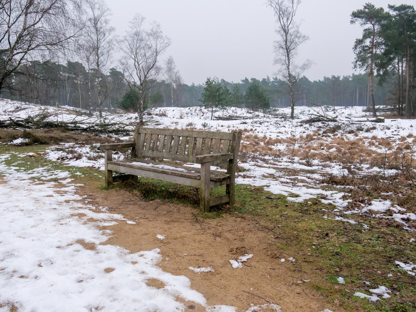 Boxtel_Van_Tienhoven_Route_25-01-2023-12