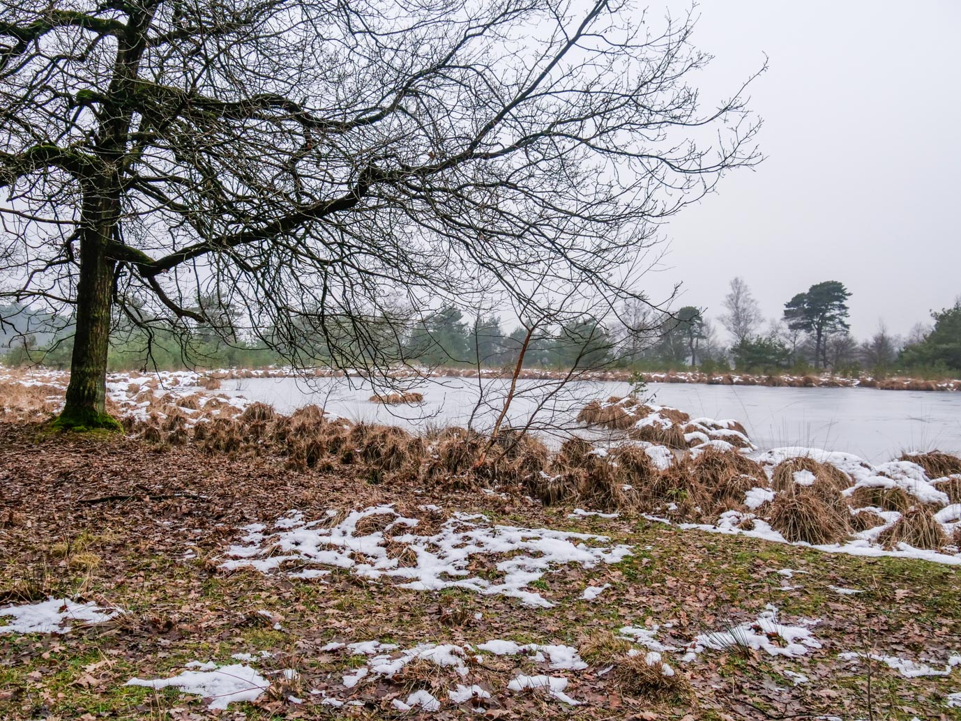 Boxtel_Van_Tienhoven_Route_25-01-2023-15