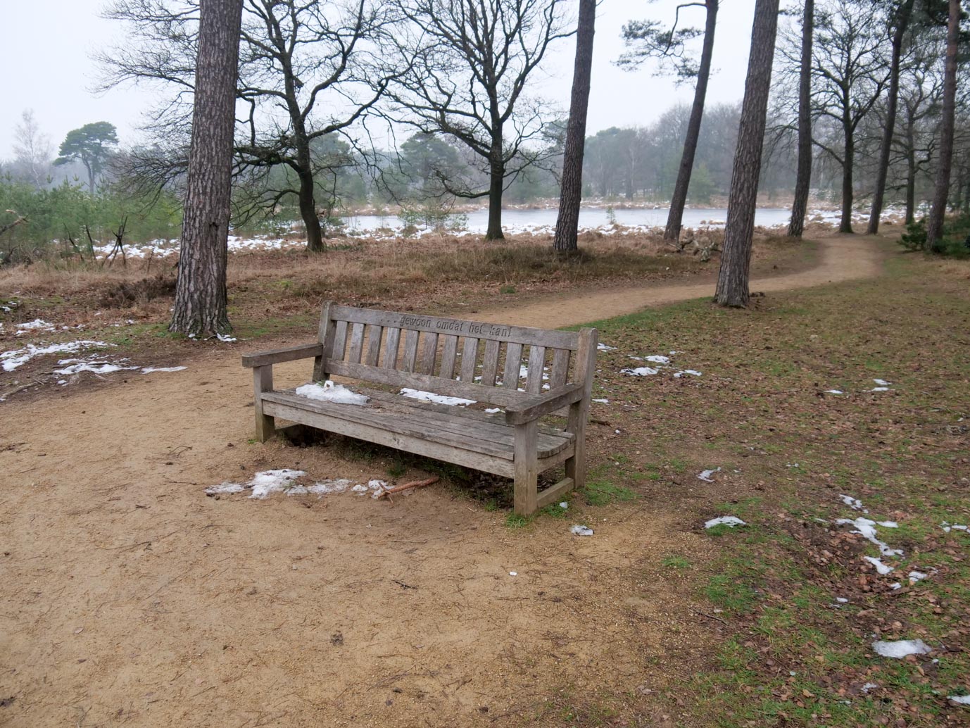 Boxtel_Van_Tienhoven_Route_25-01-2023-16