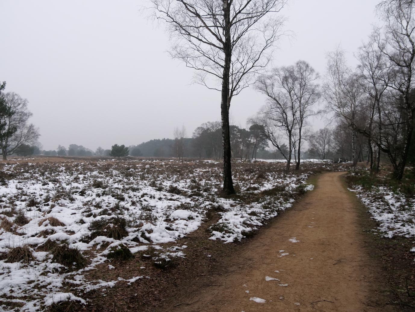 Boxtel_Van_Tienhoven_Route_25-01-2023-17