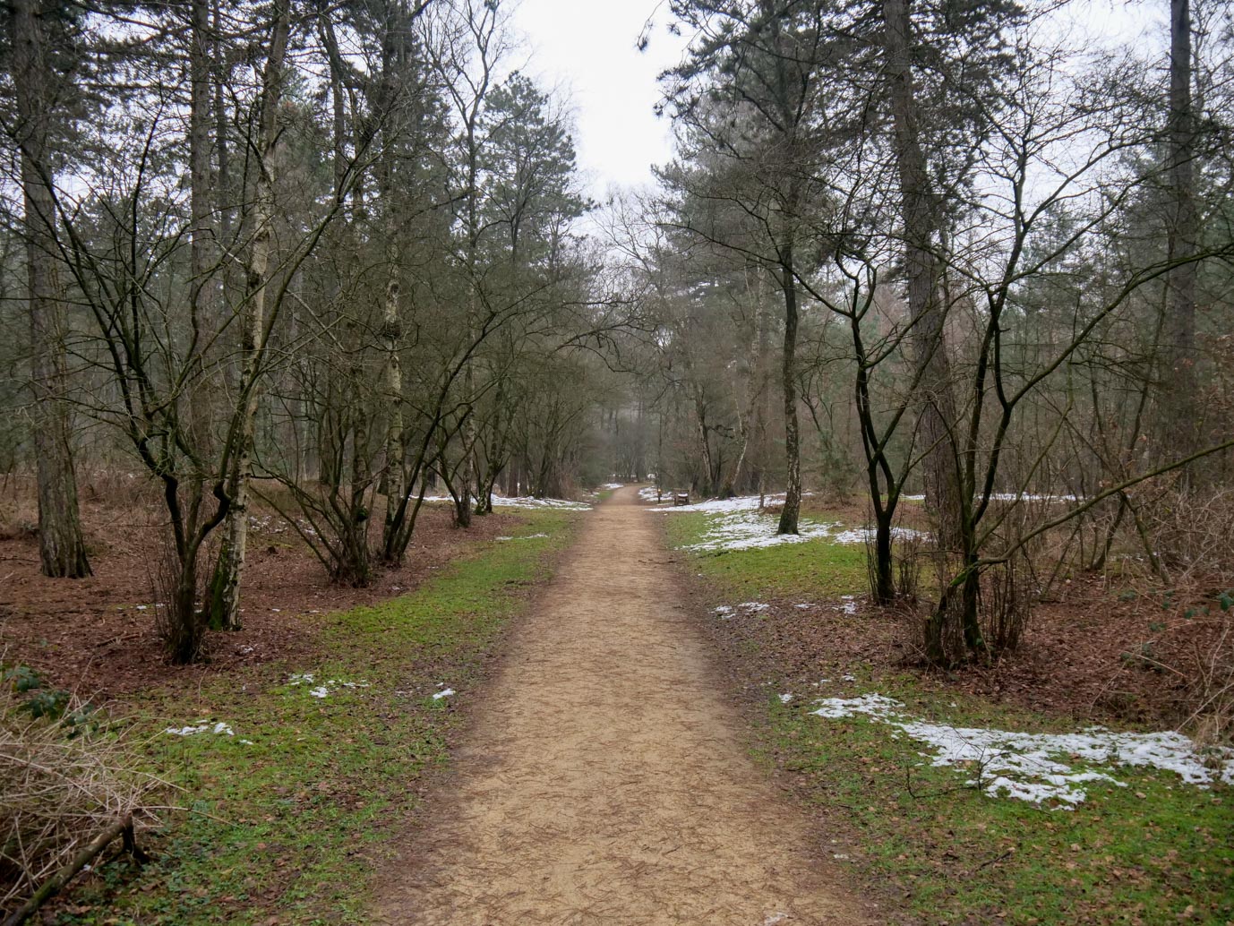 Boxtel_Van_Tienhoven_Route_25-01-2023-27