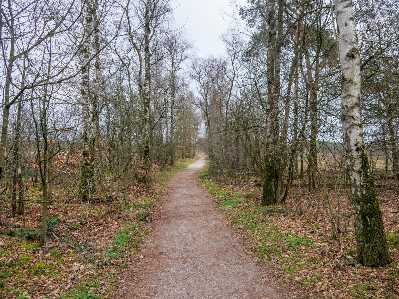 Overasselt_Heriberthapad_05-02-2023-04