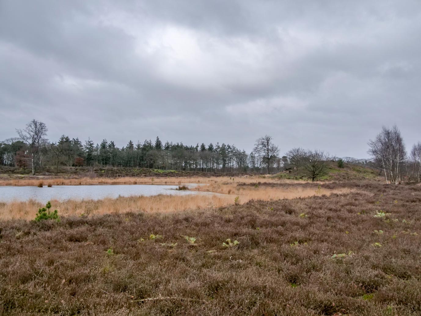 Overasselt_Heriberthapad_05-02-2023-05