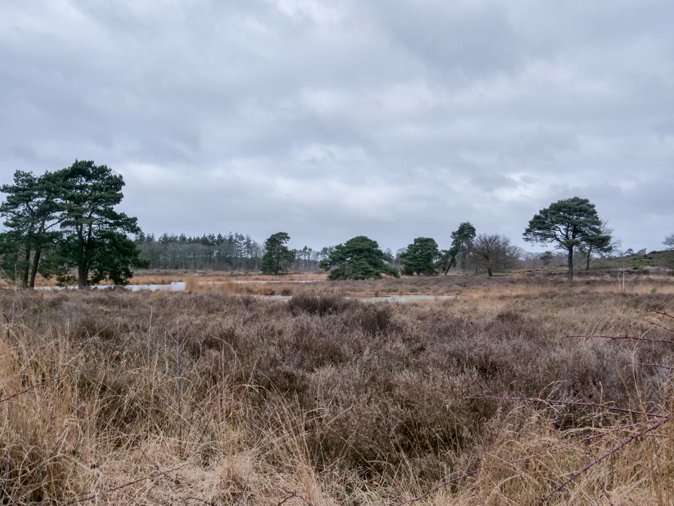 Overasselt_Heriberthapad_05-02-2023-09