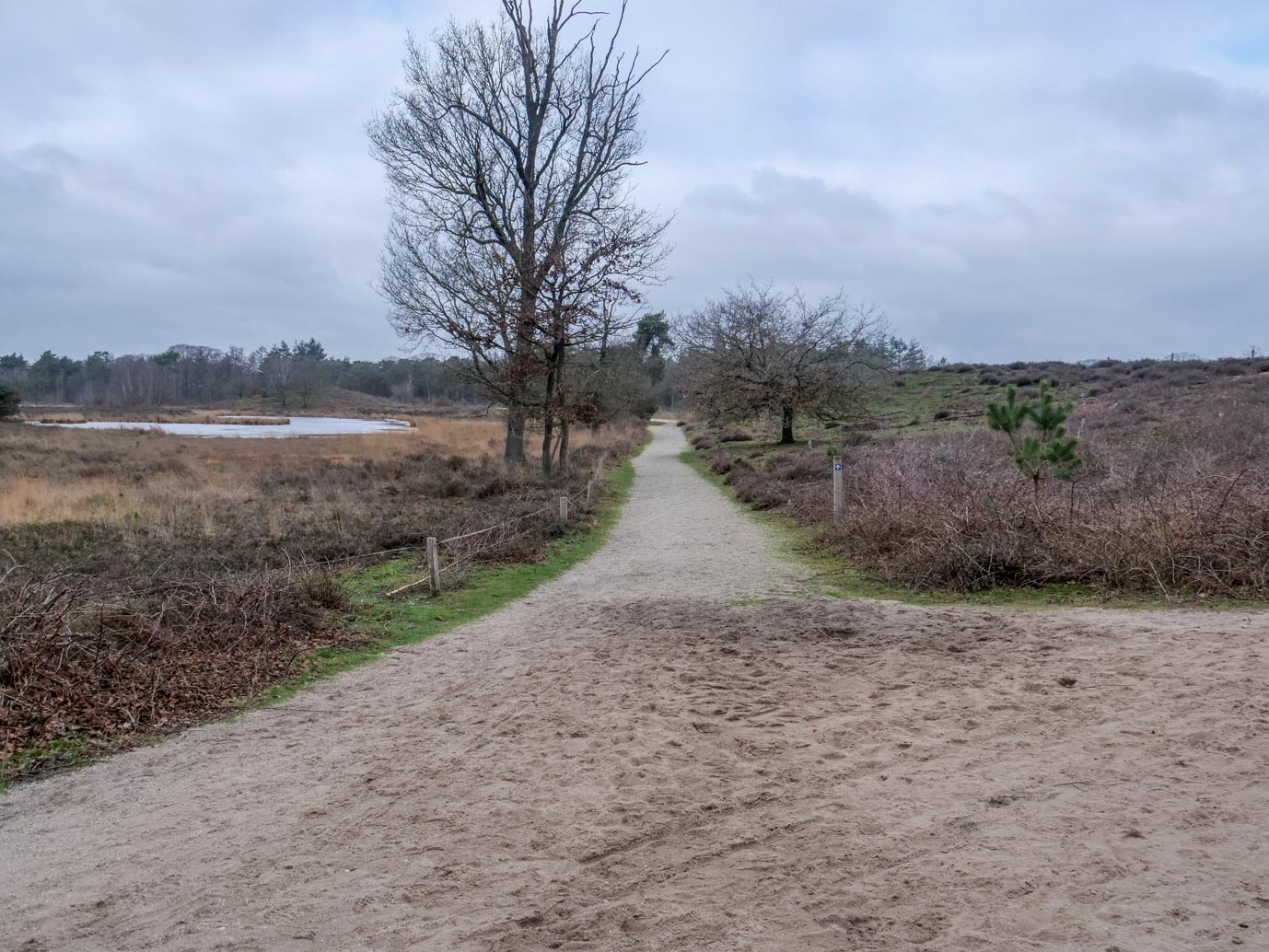 Overasselt_Heriberthapad_05-02-2023-10