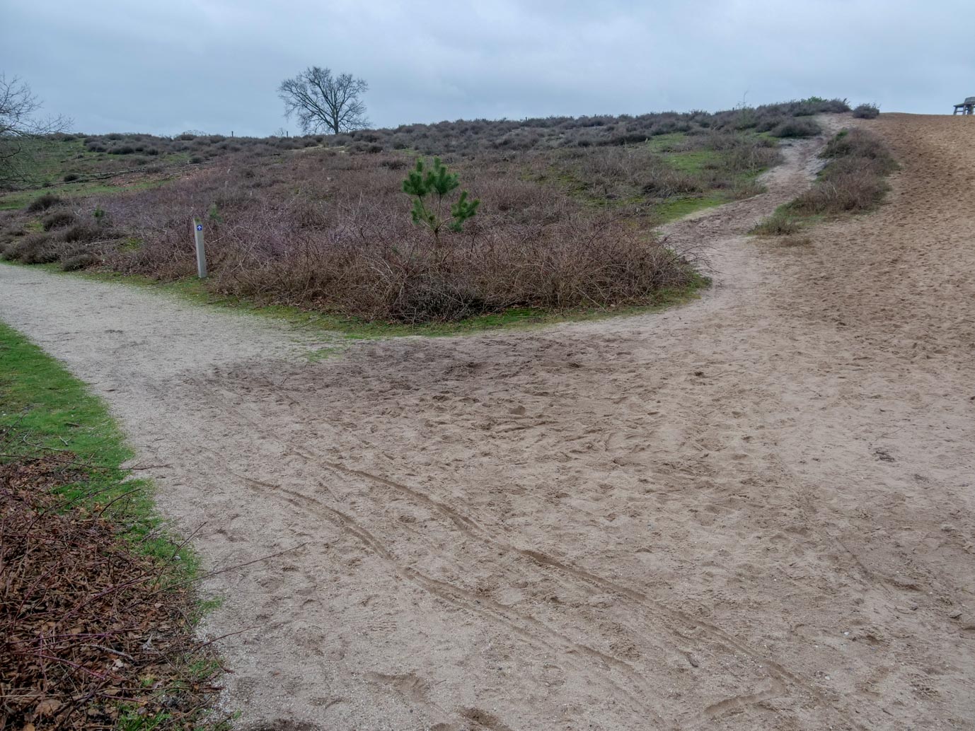 Overasselt_Heriberthapad_05-02-2023-11