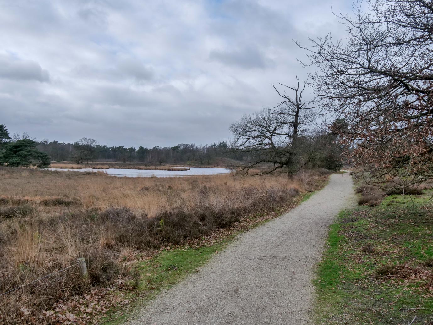 Overasselt_Heriberthapad_05-02-2023-12