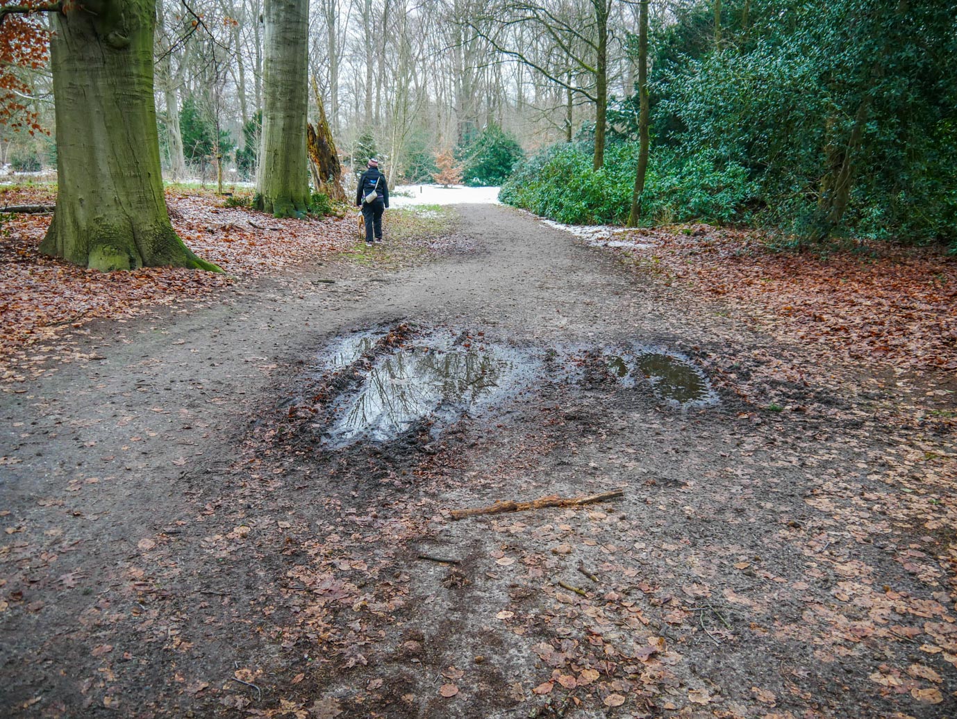 's-Graveland_Buitenplaats_Boekesteyn_22-01-2023-19